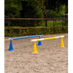 Pilonis XL Waldhausen set di 8 borse da trasporto Blu / giallo Pilonis XL Waldhausen set di 8 borse da trasporto Blu / giallo