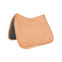 Sottosella Waldhausen Turin Pesca Rosa