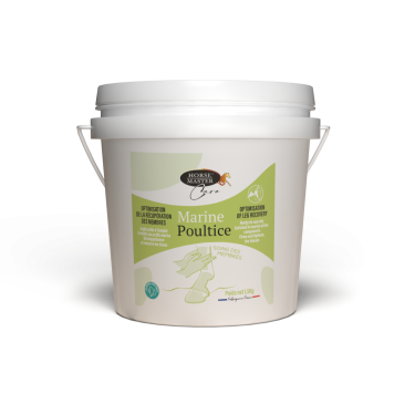 Argilla Marina Cataplasma Horse Master