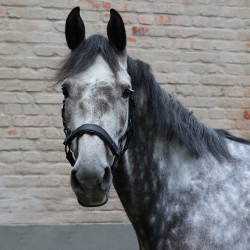 Capezza Lami-Cell Flexicare Nero