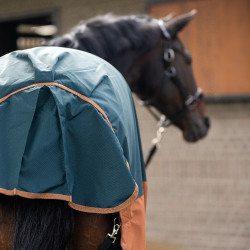 Coperta da esterno Imperial Riding Customized 400 g con collo Verde scuro / volpe