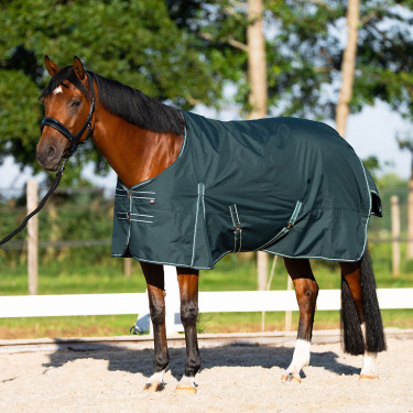 Coperta da paddock Imperial Riding Basic senza copricollo 300 g Verde