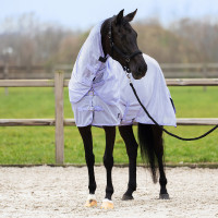 Coperta anti-mosche con copricollo rimovibile Imperial Riding Reese Grigio Argento