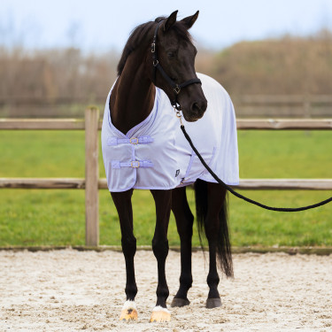 Coperta anti-mosche con copricollo rimovibile Imperial Riding Reese Glicina