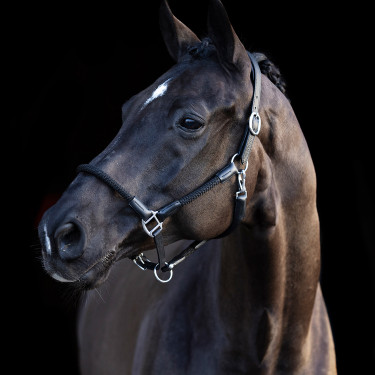 Capestro HV Polo Franka