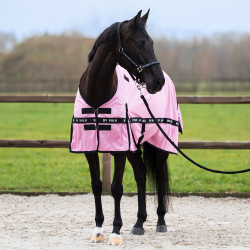 Coperta anti-mosche HV Polo Nena Rosa carina