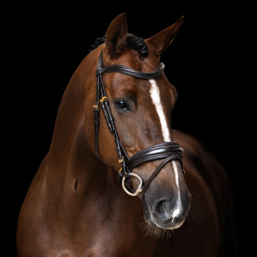 Briglia inglese Imperial Riding combinata Sleek Marrone