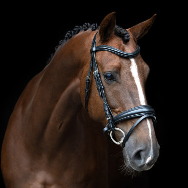 Briglia inglese Imperial Riding combinata Sleek Nero