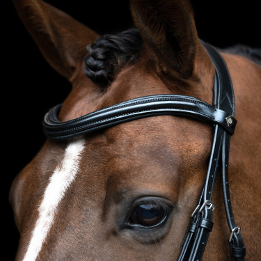 Briglia inglese Imperial Riding combinata Sleek Nero