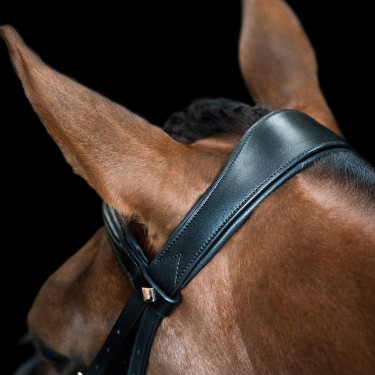 Briglia inglese Imperial Riding combinata Sleek Nero