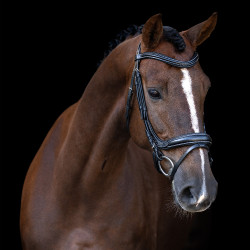 Briglia Imperial Riding con capezzina inglese curva Nero