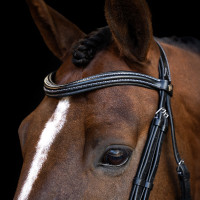 Briglia Imperial Riding con capezzina inglese curva Nero