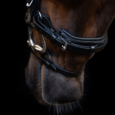 Briglia Imperial Riding con capezzina inglese curva Nero