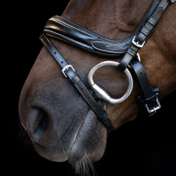 Briglia Imperial Riding con capezzina inglese curva Nero