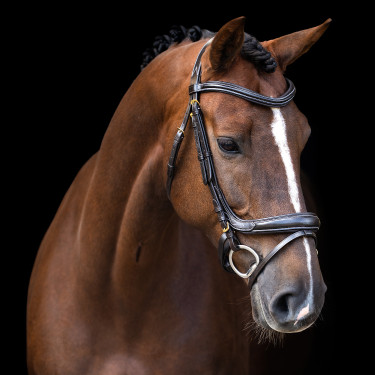Briglia Imperial Riding con capezzina inglese curva Marrone