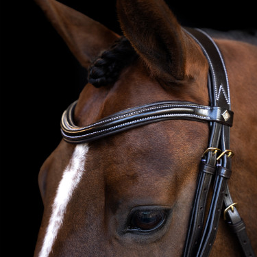 Briglia Imperial Riding con capezzina inglese curva Marrone