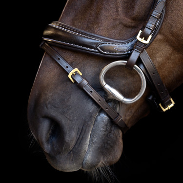 Briglia Imperial Riding con capezzina inglese curva Marrone