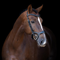 Briglia Imperial Riding con capezzina combinata ergonomica bassa Nero
