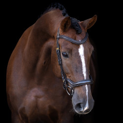 Briglia Imperial Riding con capezzina combinata ergonomica bassa Marrone