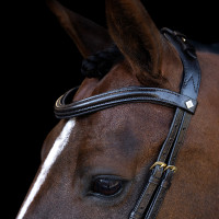 Briglia Imperial Riding con capezzina combinata ergonomica bassa Nero