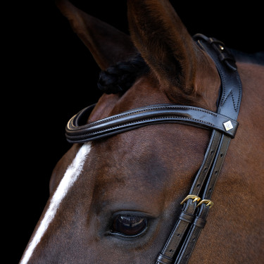 Briglia Imperial Riding con capezzina combinata ergonomica bassa Marrone