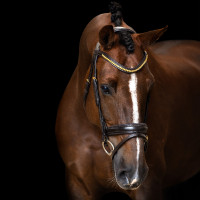 Briglia Imperial Riding con combinazione semplice Marrone