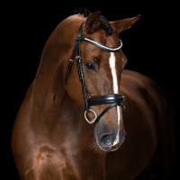 Briglia Imperial Riding con combinazione semplice Nero