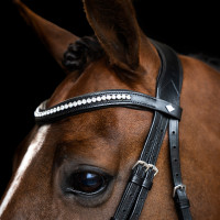 Briglia Imperial Riding con combinazione semplice Marrone