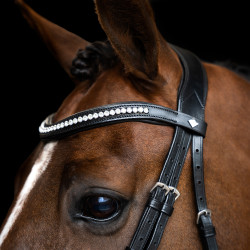 Briglia Imperial Riding con combinazione semplice Nero