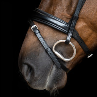 Briglia Imperial Riding con combinazione semplice Nero