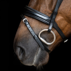 Briglia Imperial Riding con combinazione semplice Nero