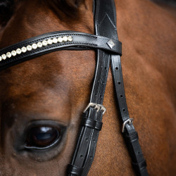 Briglia Imperial Riding con combinazione semplice Nero
