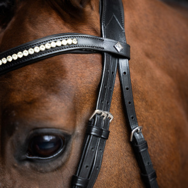 Briglia Imperial Riding con combinazione semplice Nero