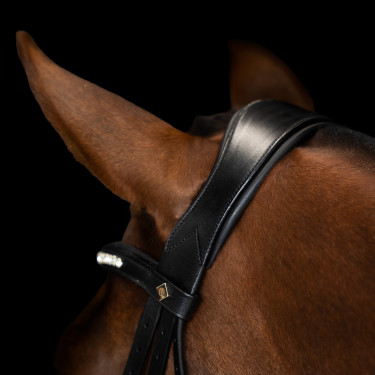 Briglia Imperial Riding con combinazione semplice Nero