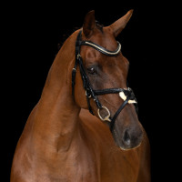 Briglia con capezzina messicana Imperial Riding Nero