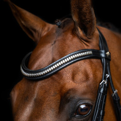 Briglia con capezzina messicana Imperial Riding Nero