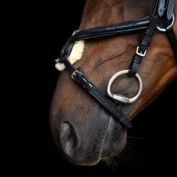 Briglia con capezzina messicana Imperial Riding Nero