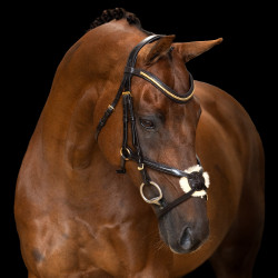 Briglia con capezzina messicana Imperial Riding Marrone scuro Briglia con capezzina messicana Imperial Riding Marrone scuro