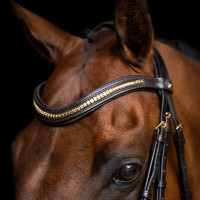 Briglia con capezzina messicana Imperial Riding Nero