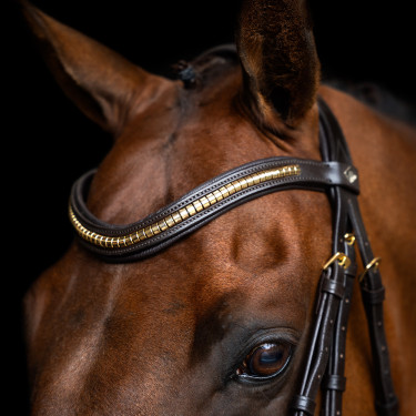 Briglia con capezzina messicana Imperial Riding Marrone scuro Briglia con capezzina messicana Imperial Riding Marrone scuro