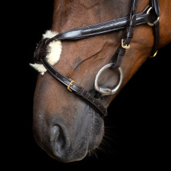 Briglia con capezzina messicana Imperial Riding Marrone scuro Briglia con capezzina messicana Imperial Riding Marrone scuro