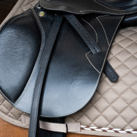 Staffili Imperial Riding Soft con anima in nylon Nero