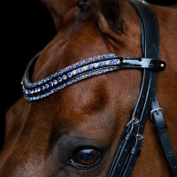 Fronte Imperial Riding Maxima Zaffiro Blu