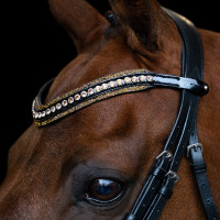 Fronte Imperial Riding Maxima Marrone