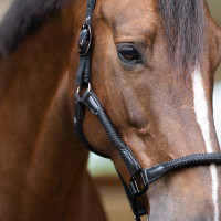 Capezzina Imperial Riding Laura Nero