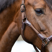 Capezzina Imperial Riding Laura Cioccolato Marrone