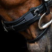 Proteggi-nasello Imperial Riding Mesh Nero
