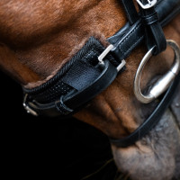 Paranaso Imperial Riding in montone Nero
