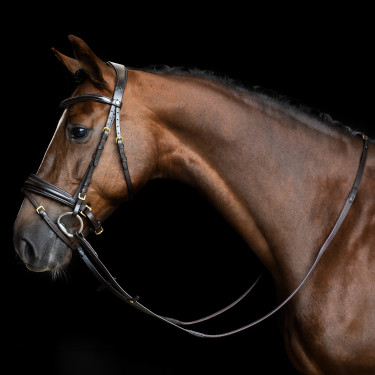 Redini Imperial Riding in gomma con borchie Marrone scuro