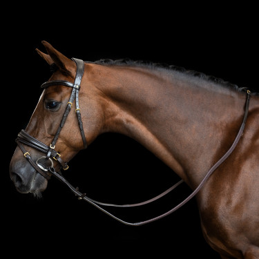 Redini Imperial Riding in gomma con rinforzo in nylon Marrone scuro Redini Imperial Riding in gomma con rinforzo in nylon Marrone scuro